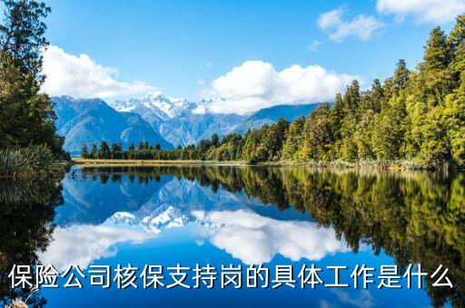 保險(xiǎn)公司核保運(yùn)營崗需要做些什么，保險(xiǎn)公司核保支持崗的具體工作是什么