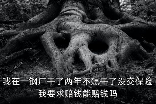 我在一鋼廠干了兩年不想干了沒(méi)交保險(xiǎn)我要求賠錢能賠錢嗎
