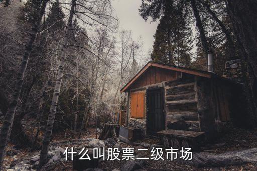 在二級市場買的股票有什么，二級市場上交易的股票