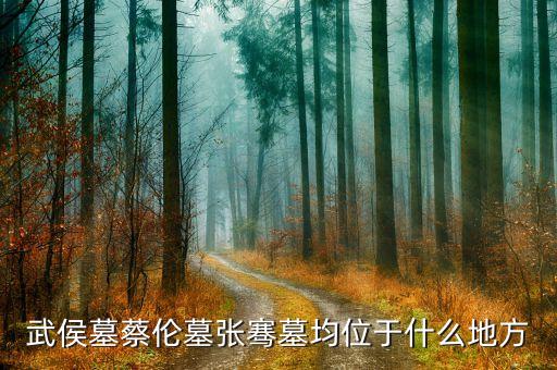 閩臺經(jīng)濟(jì)樞紐發(fā)行什么股票，龍之崛起貿(mào)易站數(shù)量