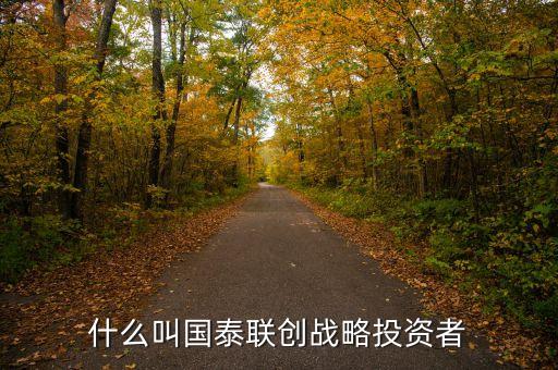 國航為什么選擇國泰作戰(zhàn)略投資者，什么叫國泰聯創(chuàng)戰(zhàn)略投資者
