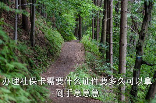 辦理社?？ㄐ枰裁醋C件要多久可以拿到手急急急