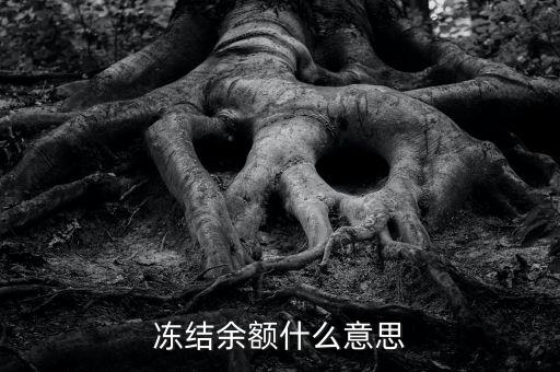 建設(shè)銀行凍結(jié)余額是什么意思，凍結(jié)余額什么意思