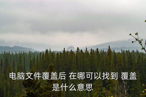 首次覆蓋是什么意思，首次覆蓋給予買入評級 什么意思