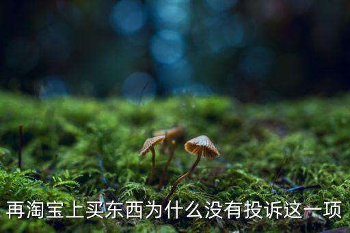 為什么消費(fèi)者網(wǎng)購(gòu)不維權(quán)，再淘寶上買東西為什么沒(méi)有投訴這一項(xiàng)