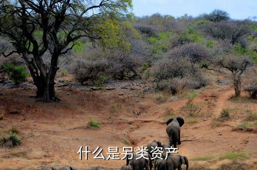 什么是另類投資，哪些項(xiàng)目屬于另類資產(chǎn)投資