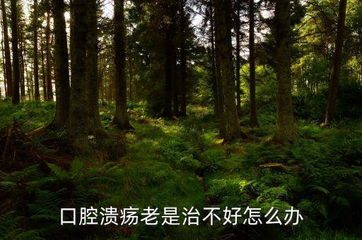 云南咖啡豆在什么時(shí)候采摘，云南小?？Х仍趺闯砸髥?/></a></span><span id=