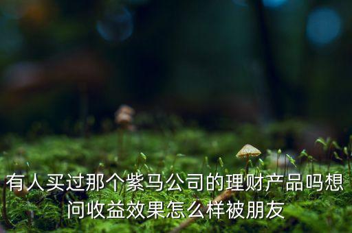 紫馬財(cái)富什么時(shí)間，有人買過那個(gè)紫馬公司的理財(cái)產(chǎn)品嗎想問收益效果怎么樣被朋友