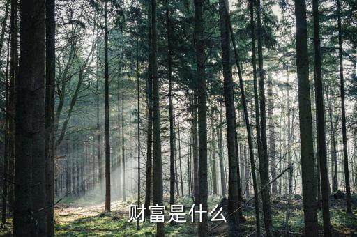 財富是什么莫奈，財富是什么