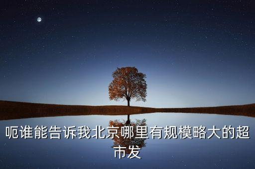 北京超市發(fā)有什么部門，呃誰能告訴我北京哪里有規(guī)模略大的超市發(fā)