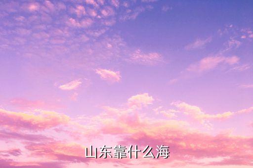為什么山東海運，山東 海運