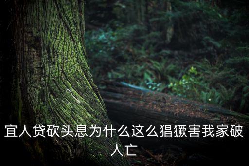 宜人貸為什么售罄，我的宜人貸為什么沒通過問題出在哪