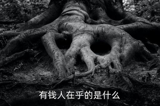 有錢(qián)人關(guān)注什么，30歲到50歲的有錢(qián)人一般關(guān)注哪類APP呀