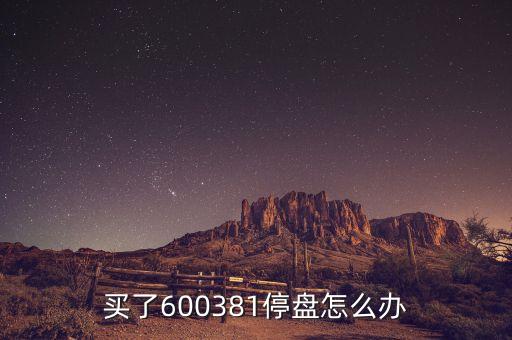 600381為什么被st，買了600381停盤怎么辦