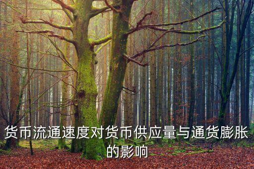 貨幣流通速度受什么影響，貨幣的流通速度和什么有關(guān)系