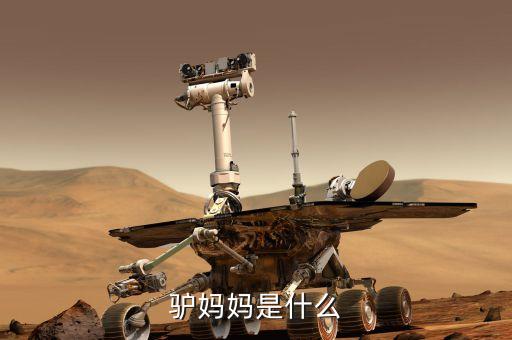 驢媽媽是什么模式，驢媽媽是什么
