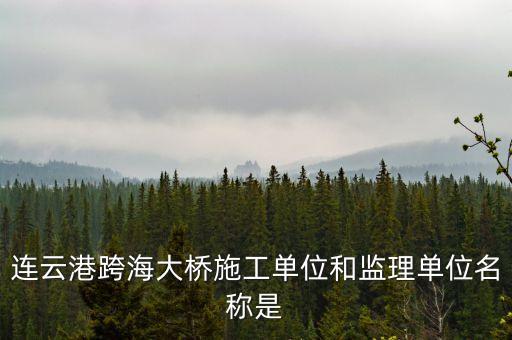 中交二航局什么平大橋，泰州長江公路大橋施工單位是