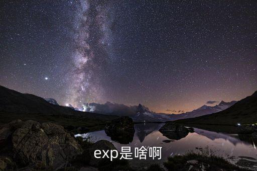 expd是什么意思，exp是啥啊