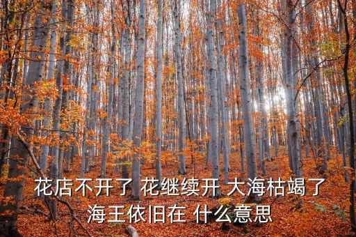  花店不開了 花繼續(xù)開 大?？萁吡?海王依舊在 什么意思