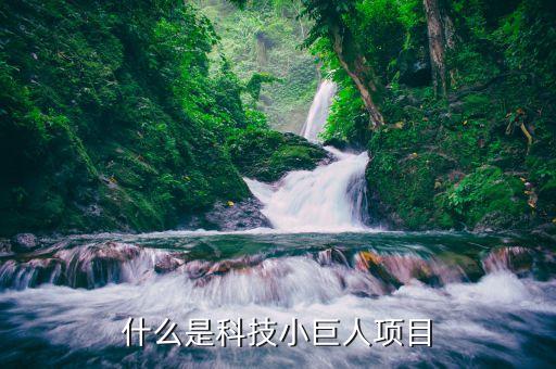 科技小巨人是什么，科技之星有哪些人