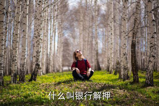 什么叫解押，解押是什么意思