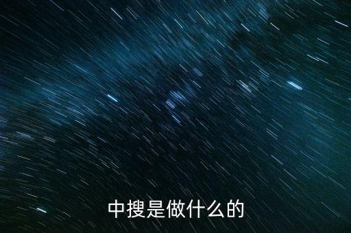 中搜是干什么的，中搜是做什么的