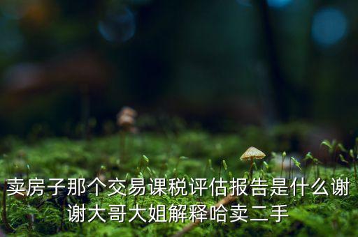 交易課稅是什么意思，名詞解釋證券交易稅