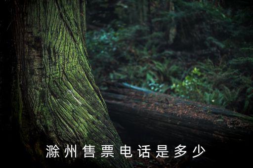 滁 州 售 票 電 話(huà) 是 多 少