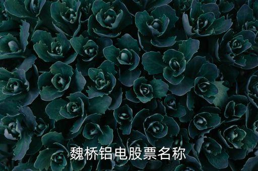 宏橋跟魏橋什么關(guān)系，宏橋中學(xué)怎么退學(xué)費(fèi)