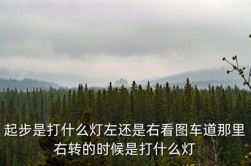 駕駛打右燈和左燈什么意思啊，起步是打什么燈左還是右看圖車道那里右轉(zhuǎn)的時(shí)候是打什么燈
