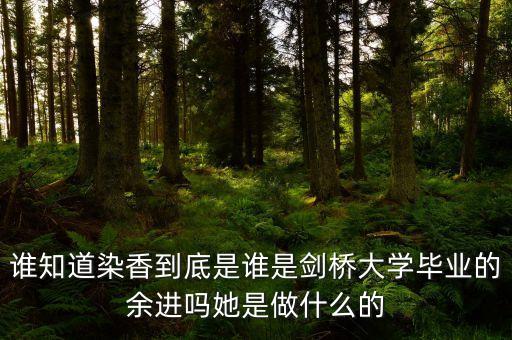 麥肯錫合伙人是什么，誰知道染香到底是誰是劍橋大學畢業(yè)的余進嗎她是做什么的