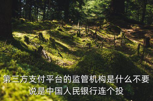 第三方支付平臺由什么機(jī)構(gòu)授權(quán)，第三方支付平臺的監(jiān)管機(jī)構(gòu)是什么不要說是中國人民銀行連個投