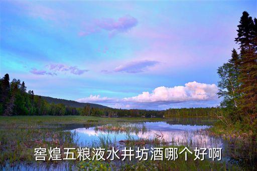 水井坊的高端品牌是什么，水井坊在哪買的好