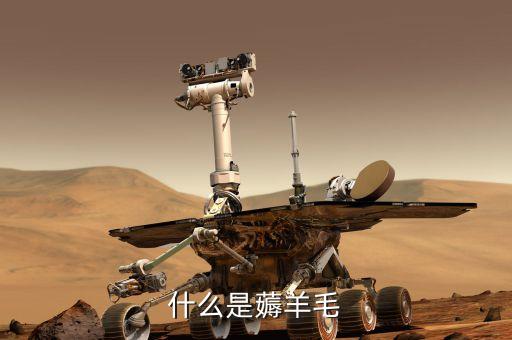 薅羊毛是什么意思，什么是 擼羊毛