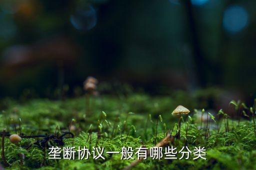 什么是縱向壟斷協(xié)議，壟斷協(xié)議一般有哪些分類