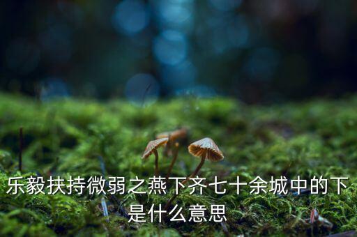 什么是進(jìn)口替代戰(zhàn)略，樂(lè)毅扶持微弱之燕下齊七十余城中的下是什么意思