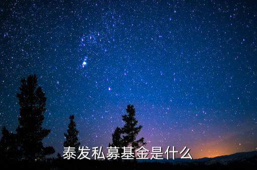 000263基金是什么基金，國(guó)金金騰通貨幣c是一種什么基金