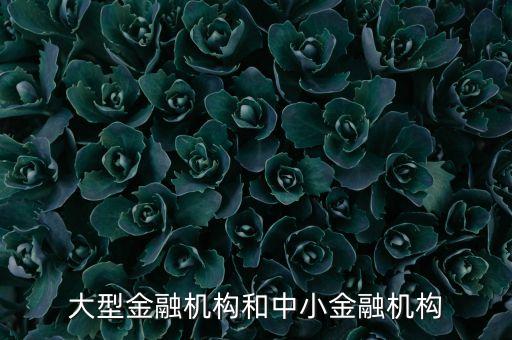 什么是中小金融機(jī)構(gòu)，大型金融機(jī)構(gòu)和中小金融機(jī)構(gòu)