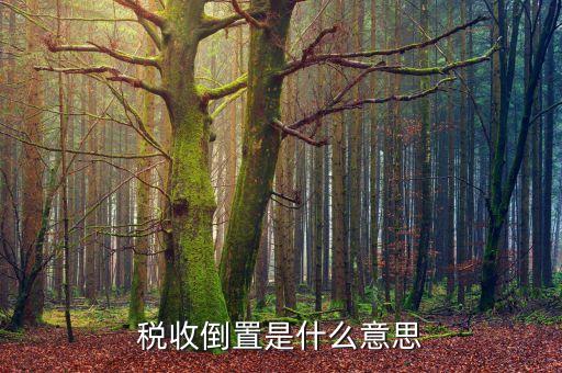 稅負(fù)倒置是什么意思，稅收倒置是什么意思
