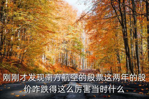 南航美股是什么意識，海南航空股票前帶lr300什么意思