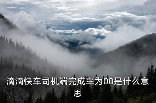 滴滴快車完成率是什么意思，滴滴快車成交率百分之零啥意思
