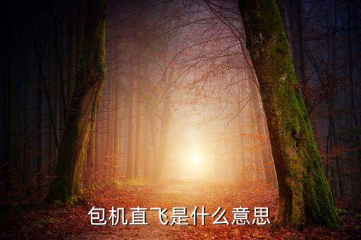 什么是包機(jī)航班，包機(jī)直飛是什么意思