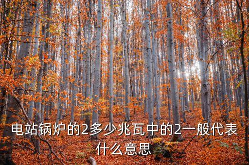 電站兆瓦什么意思，兆瓦是哪一個(gè)物理量的單位發(fā)電能力達(dá)45兆瓦說(shuō)明什么意思