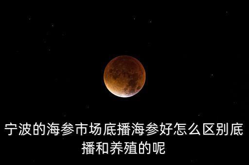 什么是底播海參，底播海參和非底播海參有什么區(qū)別