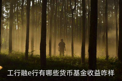工行網(wǎng)銀有什么貨幣基金，工行融e行有哪些貨幣基金收益咋樣