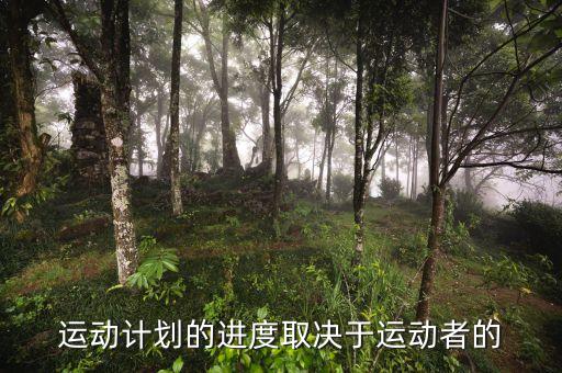 進(jìn)度安排的靈活性是什么決定，運動計劃的進(jìn)度取決于運動者的