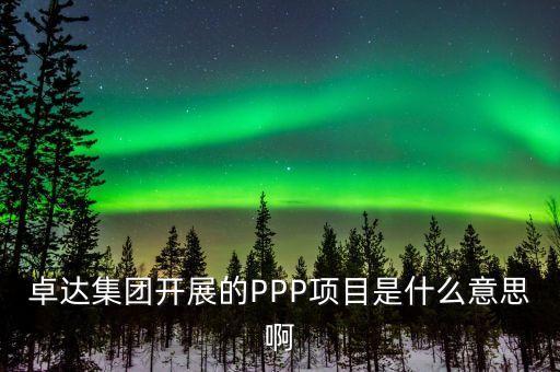 卓達(dá)集團(tuán)開展的PPP項目是什么意思啊