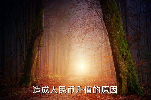 為什么貨幣升值，為什貨幣會(huì)升值