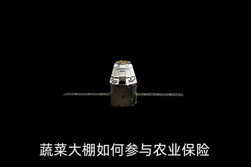 種大棚買保險(xiǎn)陪什么，蔬菜大棚入保險(xiǎn)請(qǐng)問入哪一類保險(xiǎn)