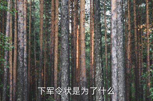 軍令狀目的是什么，下軍令狀是為了什么